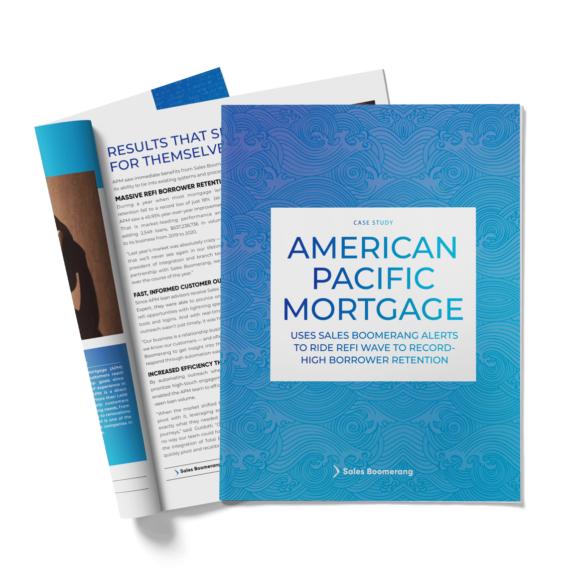 Download American Pacific Case Study